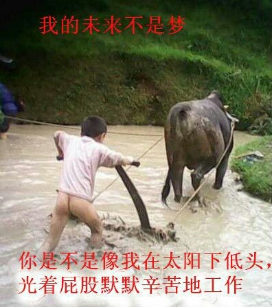 可能是2014年最振撼眼球的一張圖片(我的未來不是夢)