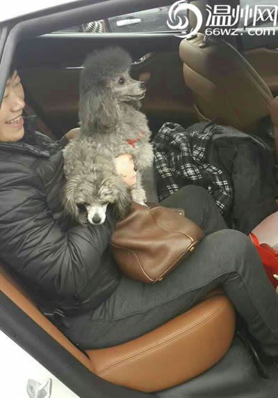 瑪莎拉蒂車主落下鑰匙被鎖車外 車內(nèi)貴賓犬幫開門