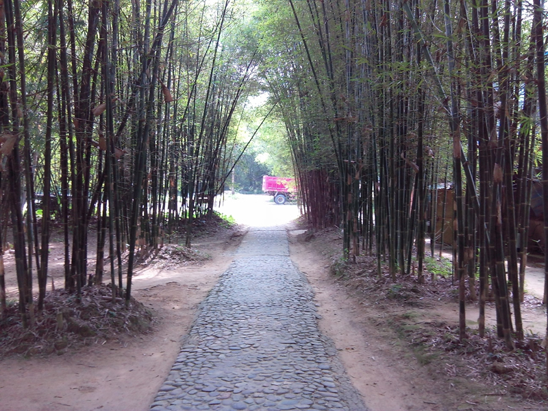 ,香溪堡:一座千年古堡，石階,古圍墻,竹林,幽幽小徑,默默訴說(shuō)著曾經(jīng)的輝煌與蒼傷.