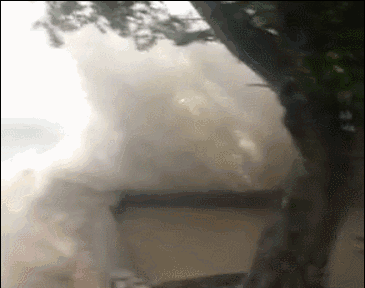 就讓風(fēng)繼續(xù)吹吹吹??????……只要您有給我們下單，風(fēng)雨無阻，耐斯照常為您出單！