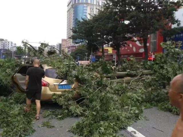 就讓風(fēng)繼續(xù)吹吹吹??????……只要您有給我們下單，風(fēng)雨無阻，耐斯照常為您出單！