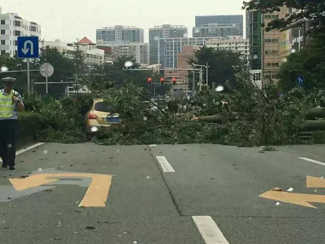 就讓風(fēng)繼續(xù)吹吹吹??????……只要您有給我們下單，風(fēng)雨無阻，耐斯照常為您出單！