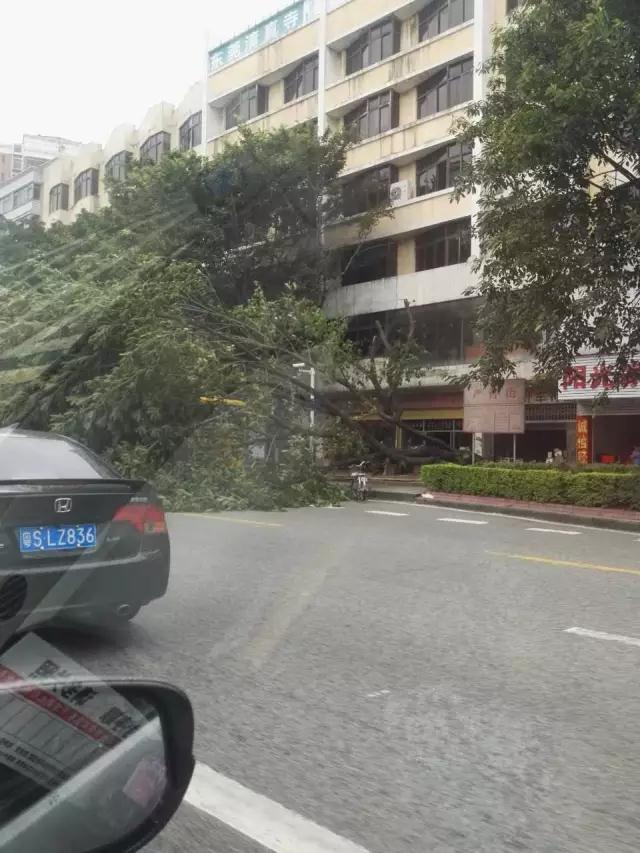 就讓風(fēng)繼續(xù)吹吹吹??????……只要您有給我們下單，風(fēng)雨無阻，耐斯照常為您出單！