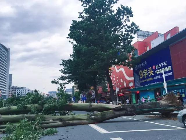 就讓風(fēng)繼續(xù)吹吹吹??????……只要您有給我們下單，風(fēng)雨無阻，耐斯照常為您出單！