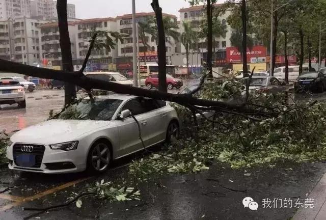 就讓風(fēng)繼續(xù)吹吹吹??????……只要您有給我們下單，風(fēng)雨無阻，耐斯照常為您出單！